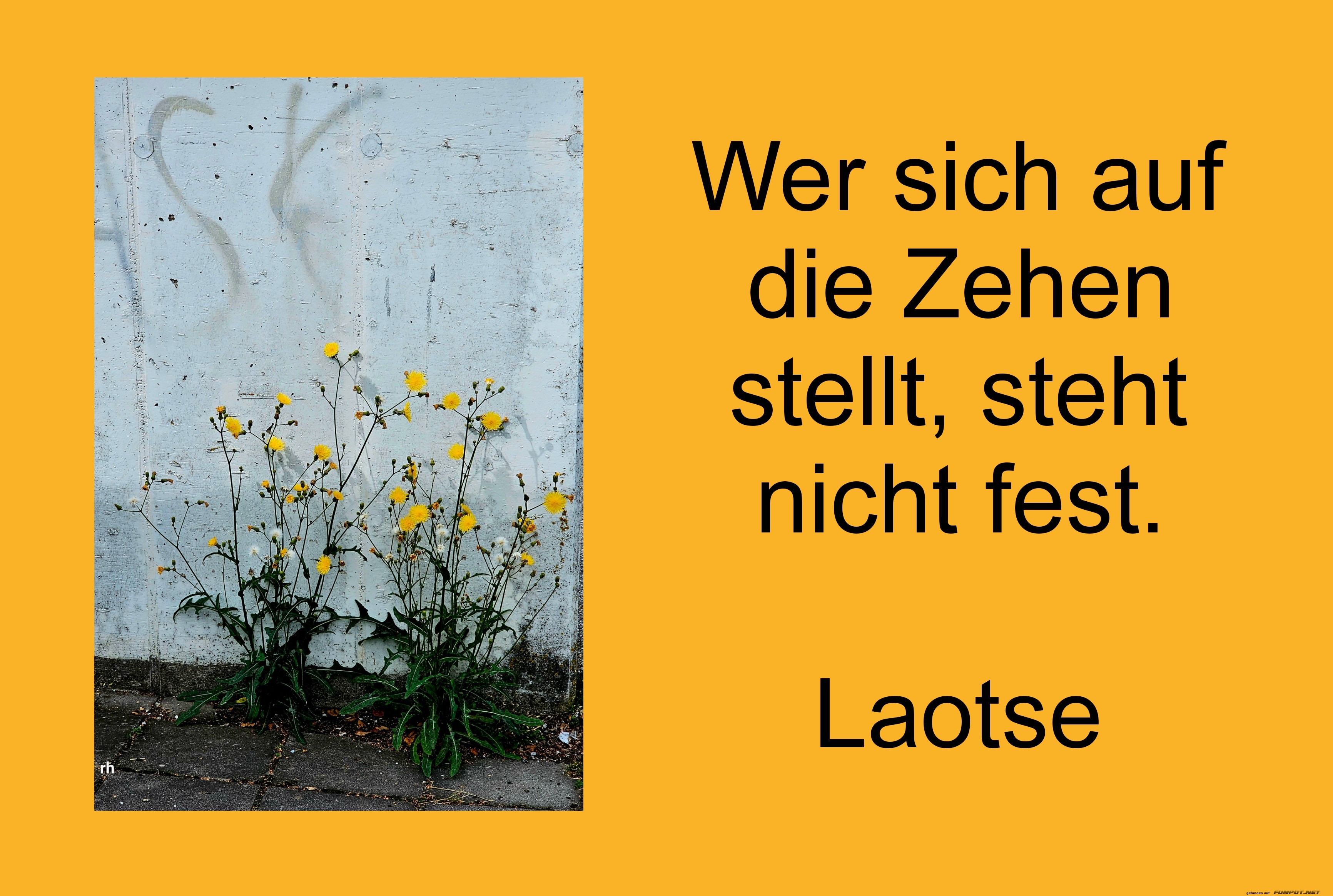 wer sich auf die zehen wer sich auf die zehen