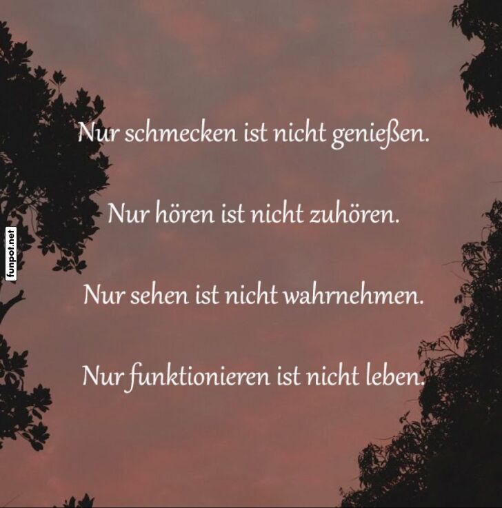 Lebensweisheiten für den Alltag Lebensweisheiten für den Alltag