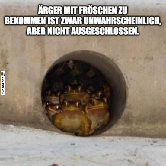 Frösche im Geheimgang: Die große Verschwörung! Frösche im Geheimgang: Die große Verschwörung!