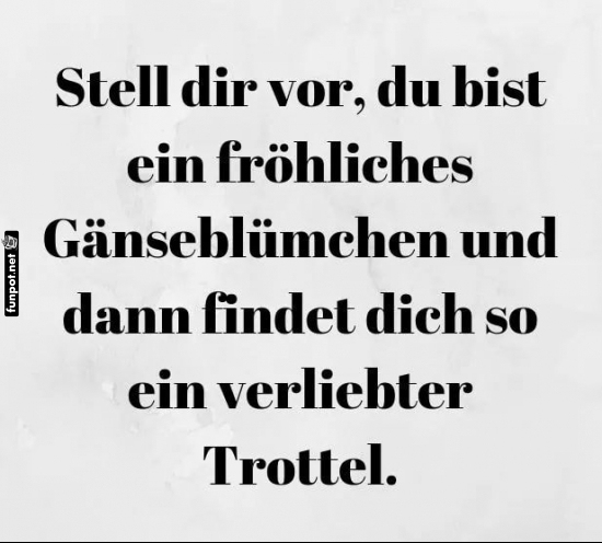 Wenn Gänseblümchen Gefühle hätten Wenn Gänseblümchen Gefühle hätten
