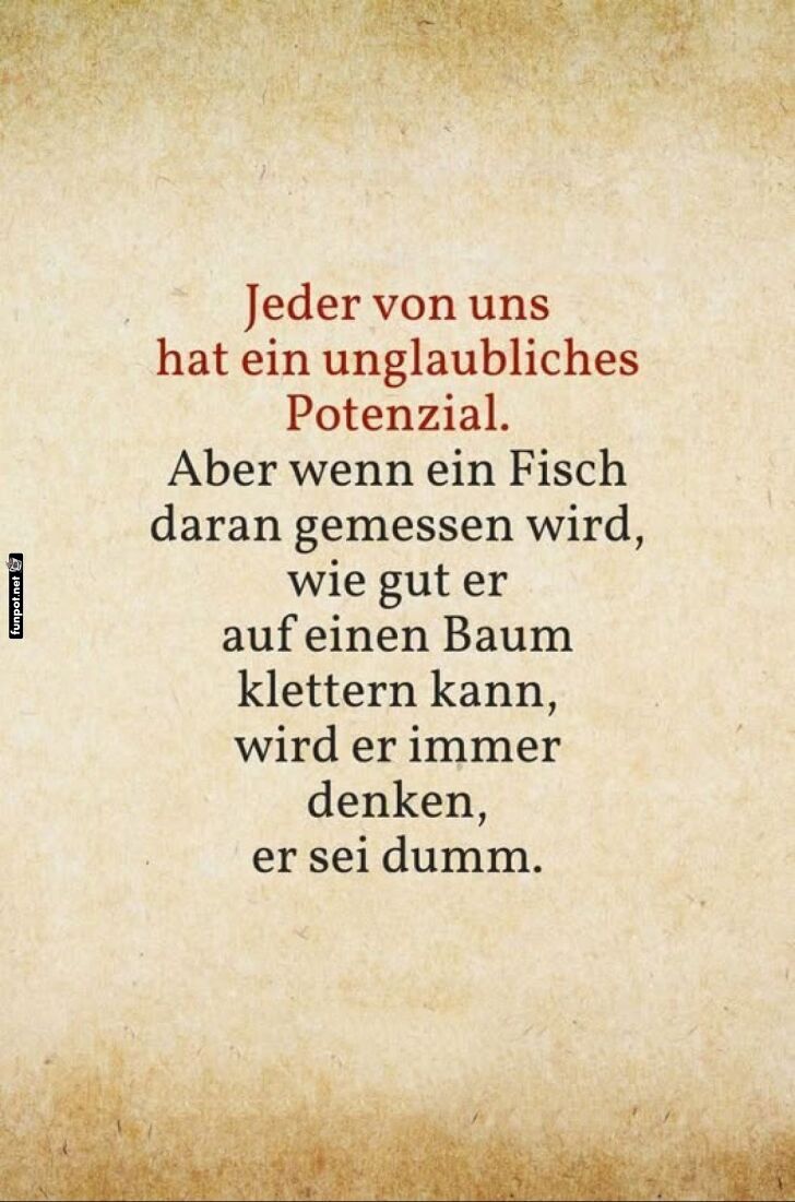 Fische und Bäume: Keine Empfehlung! Fische und Bäume: Keine Empfehlung!