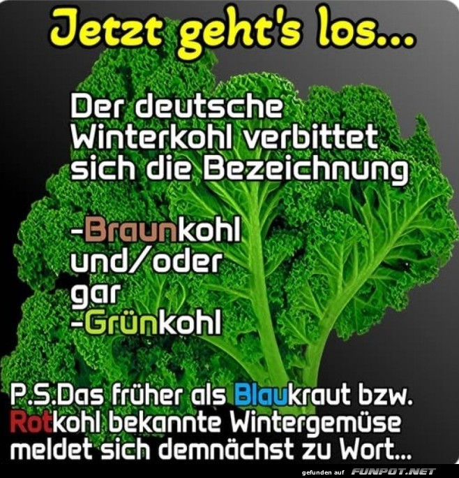Jetzt gehts los