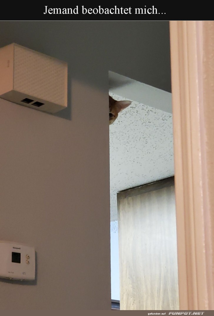 Big Boss is watching you Big Boss is watching you
