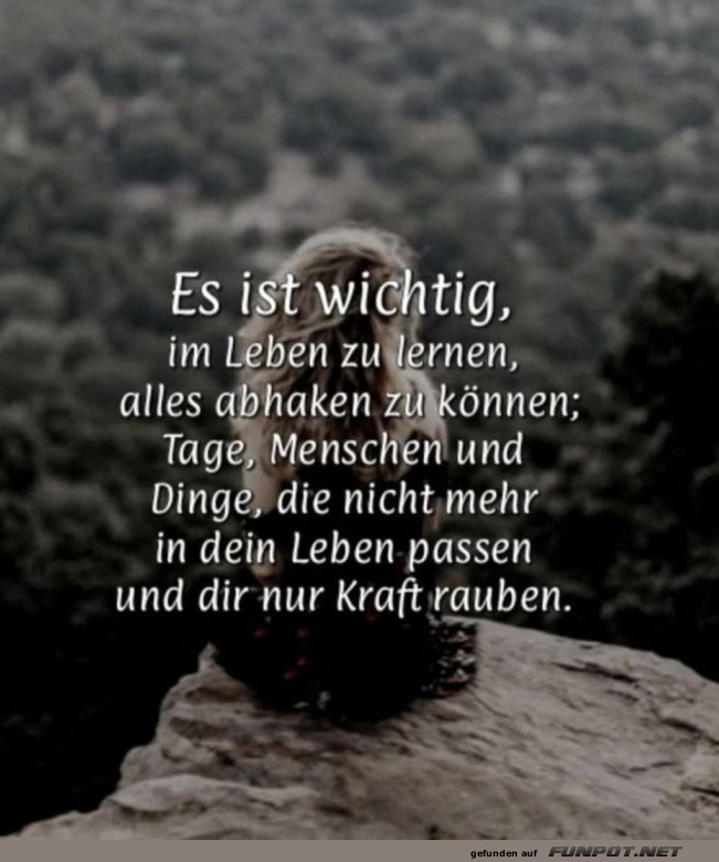 Lebensweisheit fr den Alltagsdschungel