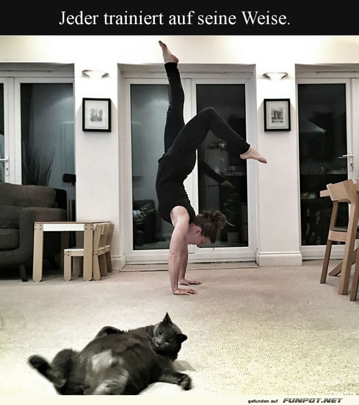 Wenn Yoga auf Katzenfaulheit trifft Wenn Yoga auf Katzenfaulheit trifft