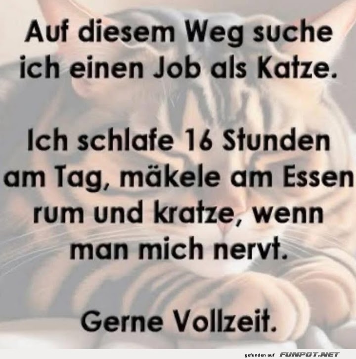 auf diesem weg