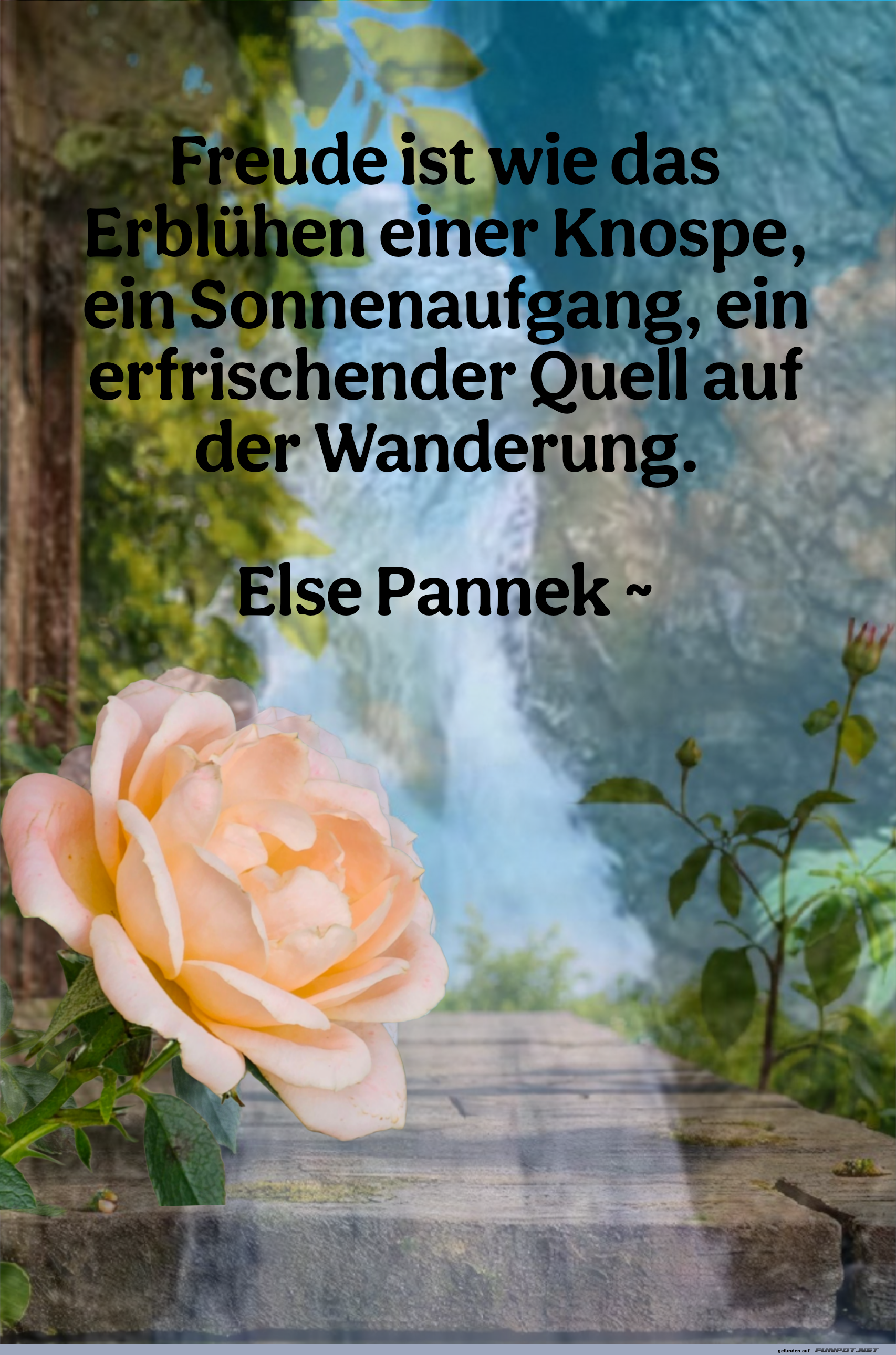 Freude ist wie das Erblühen Freude ist wie das Erblühen