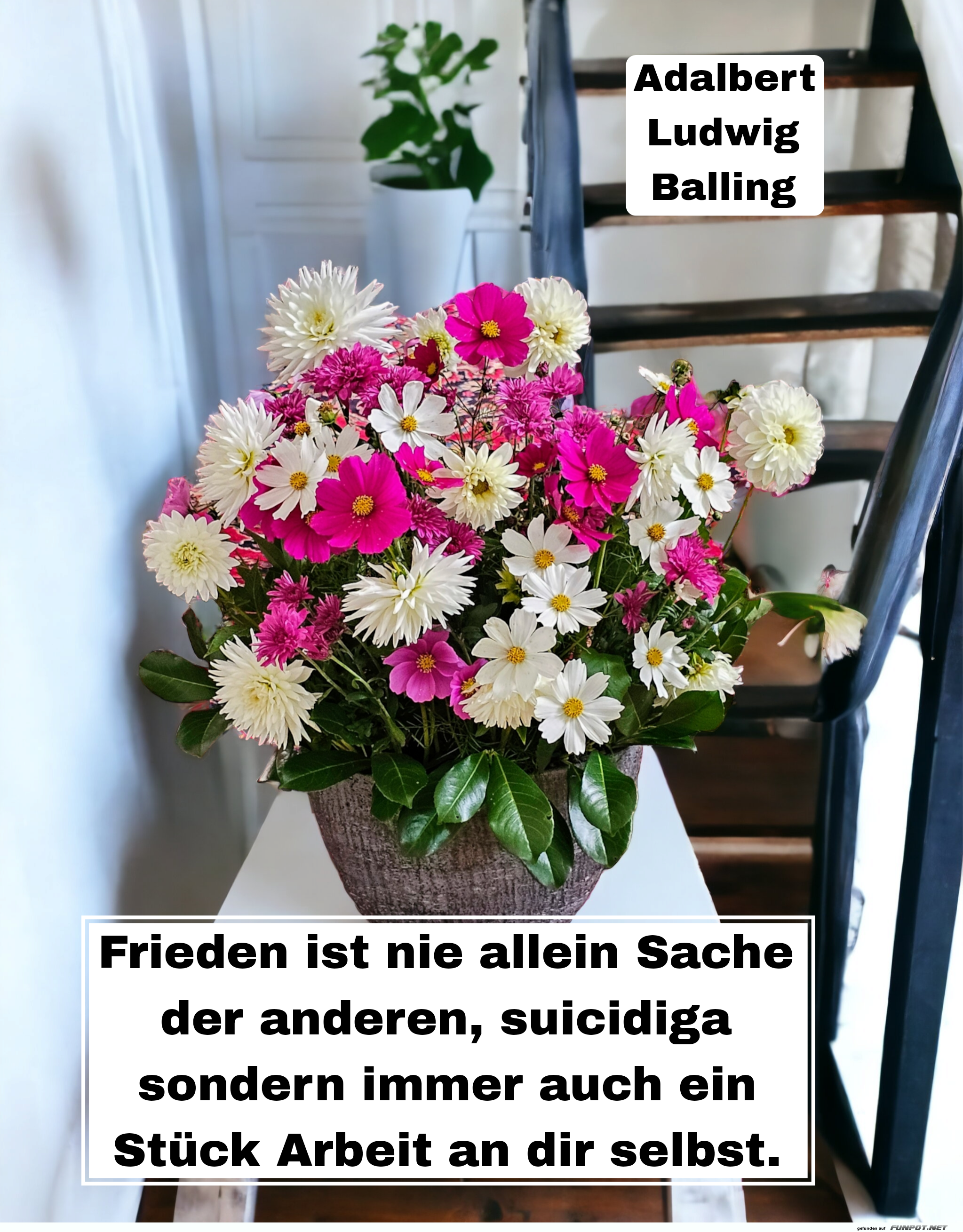 Frieden ist nie allen Sache der anderen