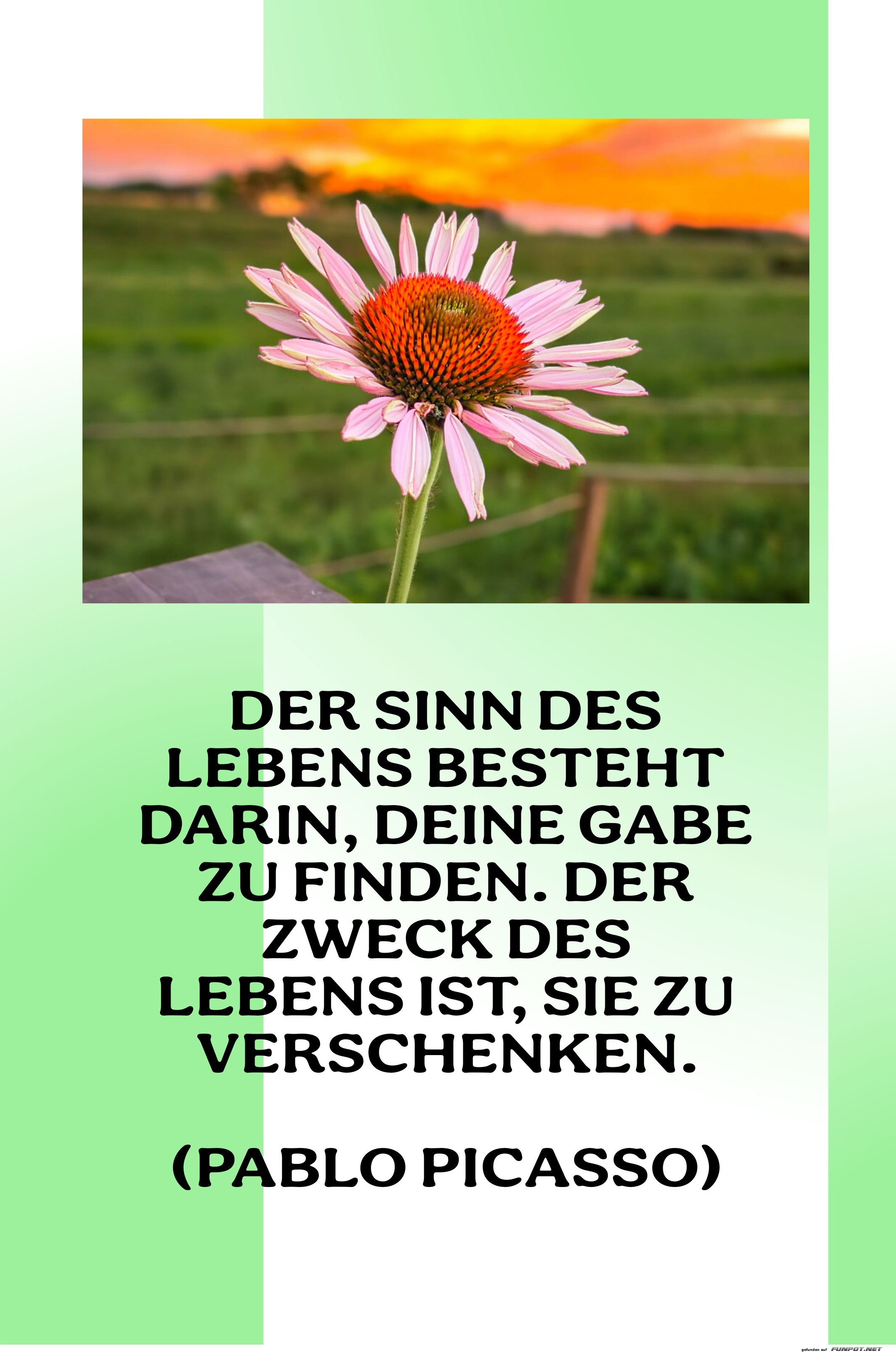 der sinn des lebens der sinn des lebens