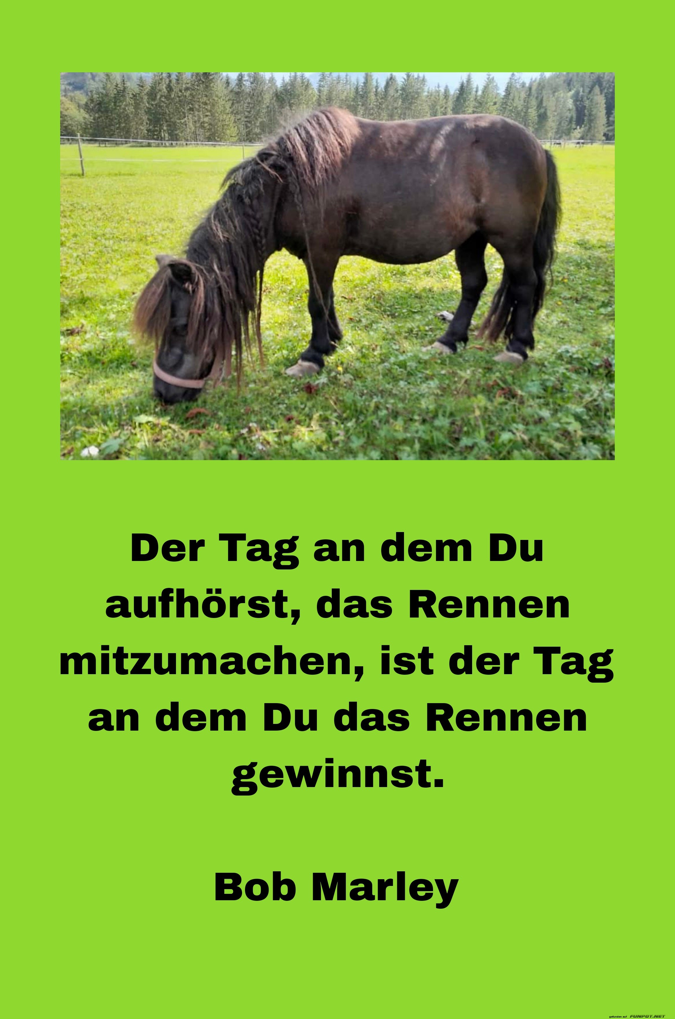 der tag, an dem du aufhörst der tag, an dem du aufhörst