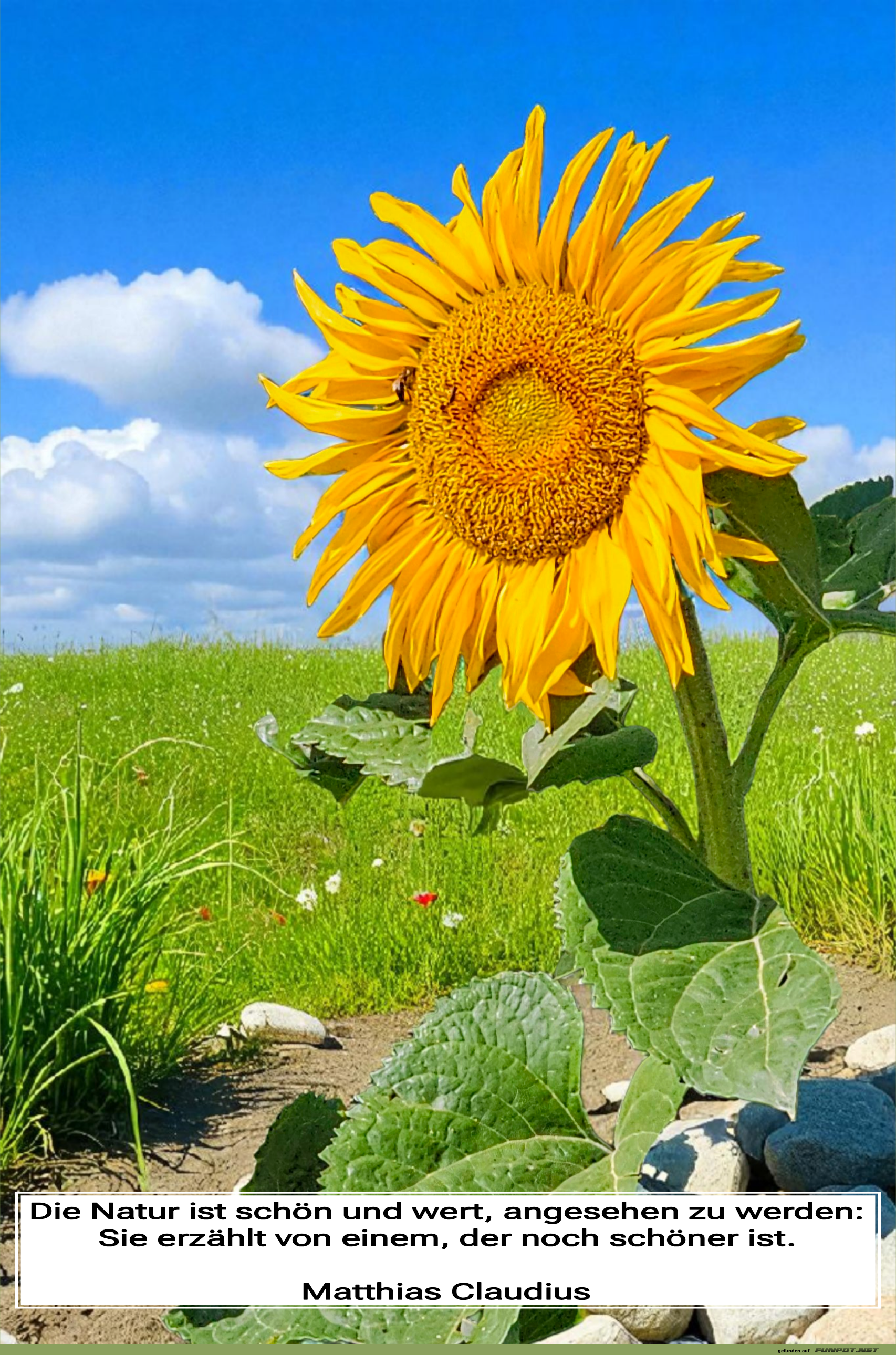 die natur ist schön die natur ist schön