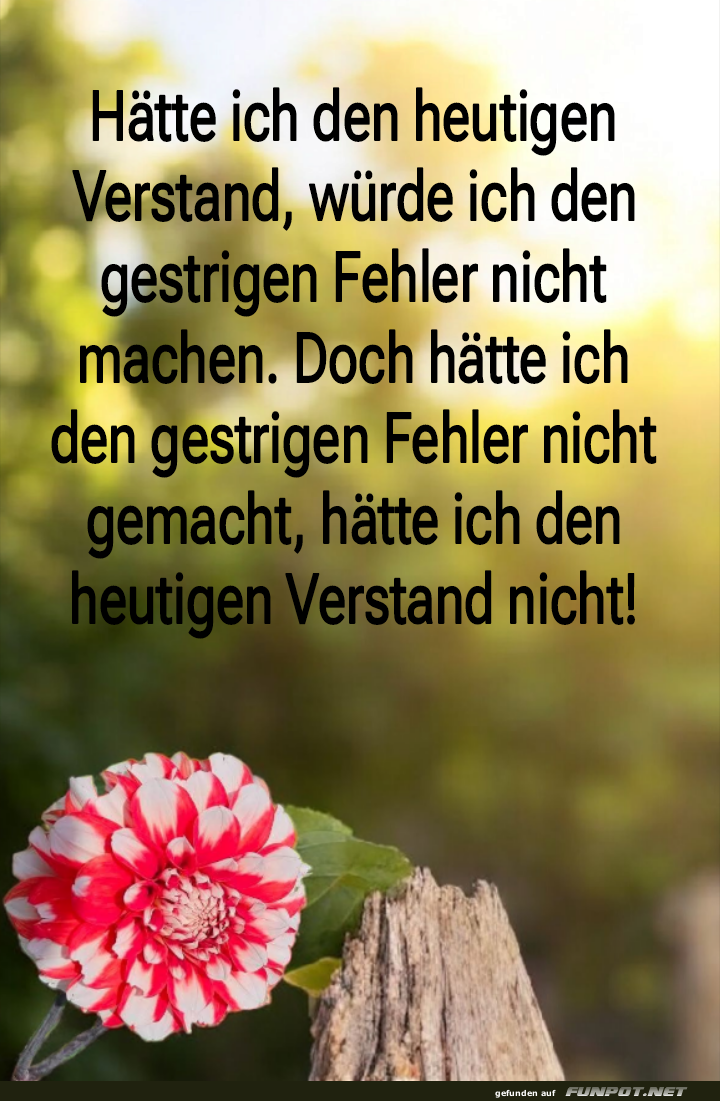 hätte ich den heutigen verstand hätte ich den heutigen verstand