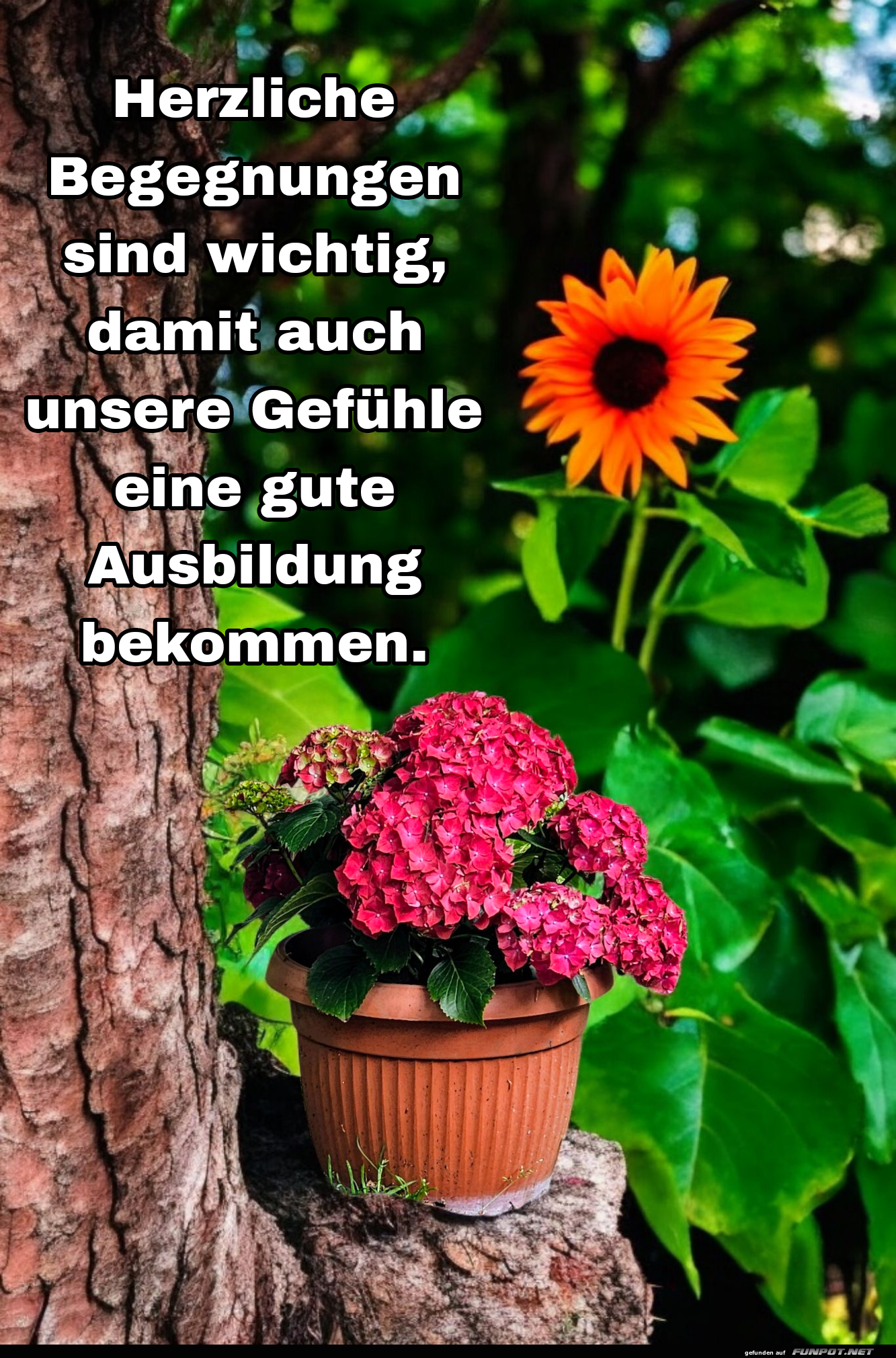 herzliche begegnungen