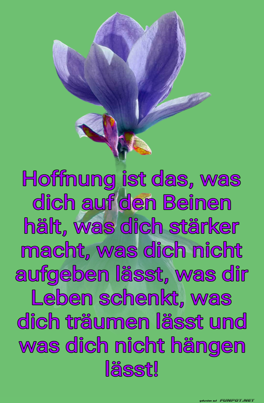 hoffnung ist das, was dich