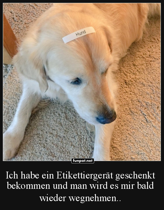 Wenn das Etikett nicht lgt