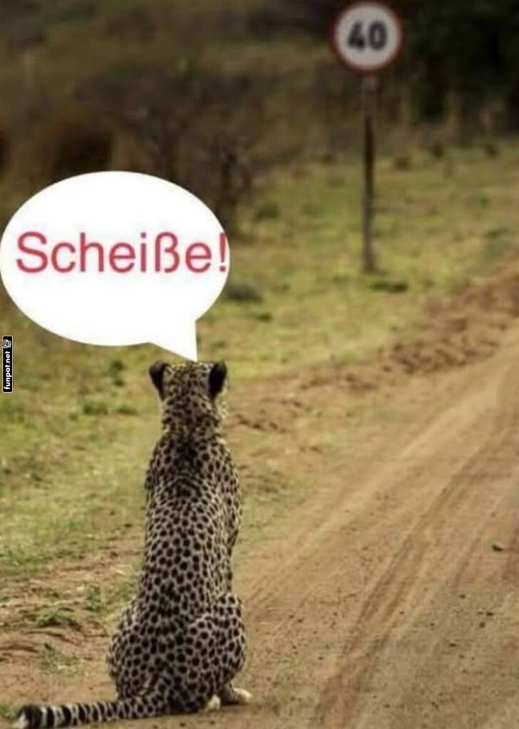 Schneller als erlaubt!