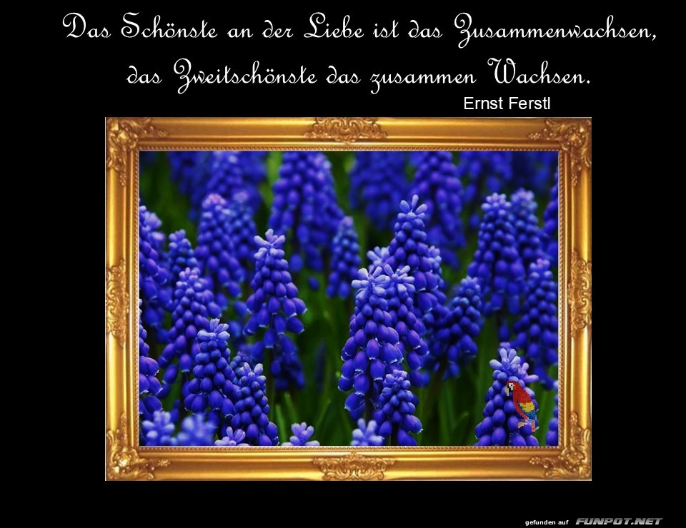 Das Schöne an der Liebe Das Schöne an der Liebe