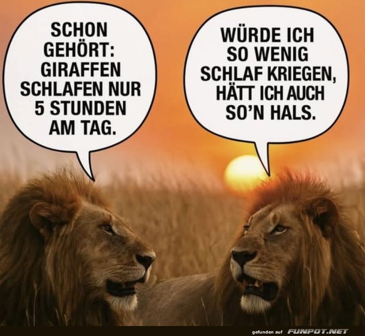 Die Schlafgewohnheiten der Tiere! Die Schlafgewohnheiten der Tiere!