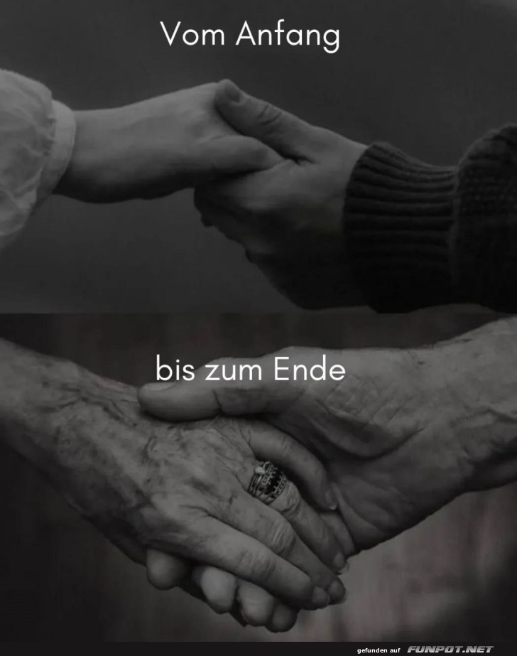 Hand in Hand: Ein Lebenslauf Hand in Hand: Ein Lebenslauf