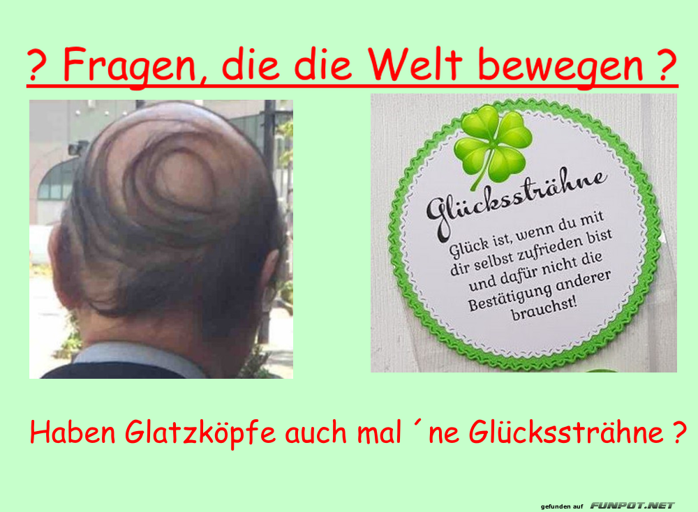 Glatze mit Glückssträhne? Glatze mit Glückssträhne?