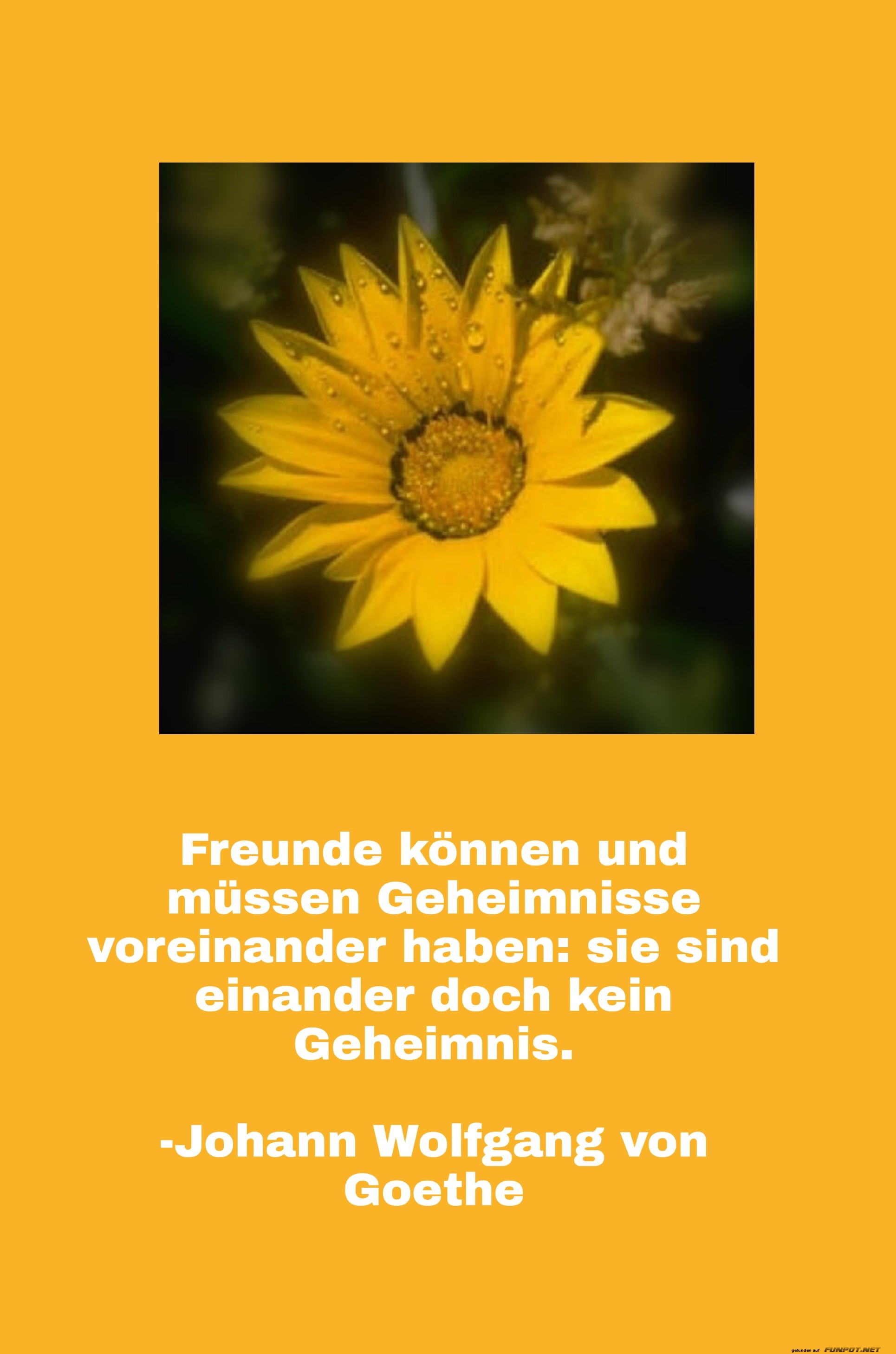 Freunde können Freunde können