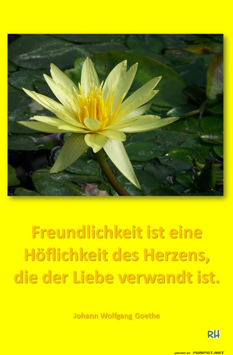 Freundlichkeit ist Freundlichkeit ist