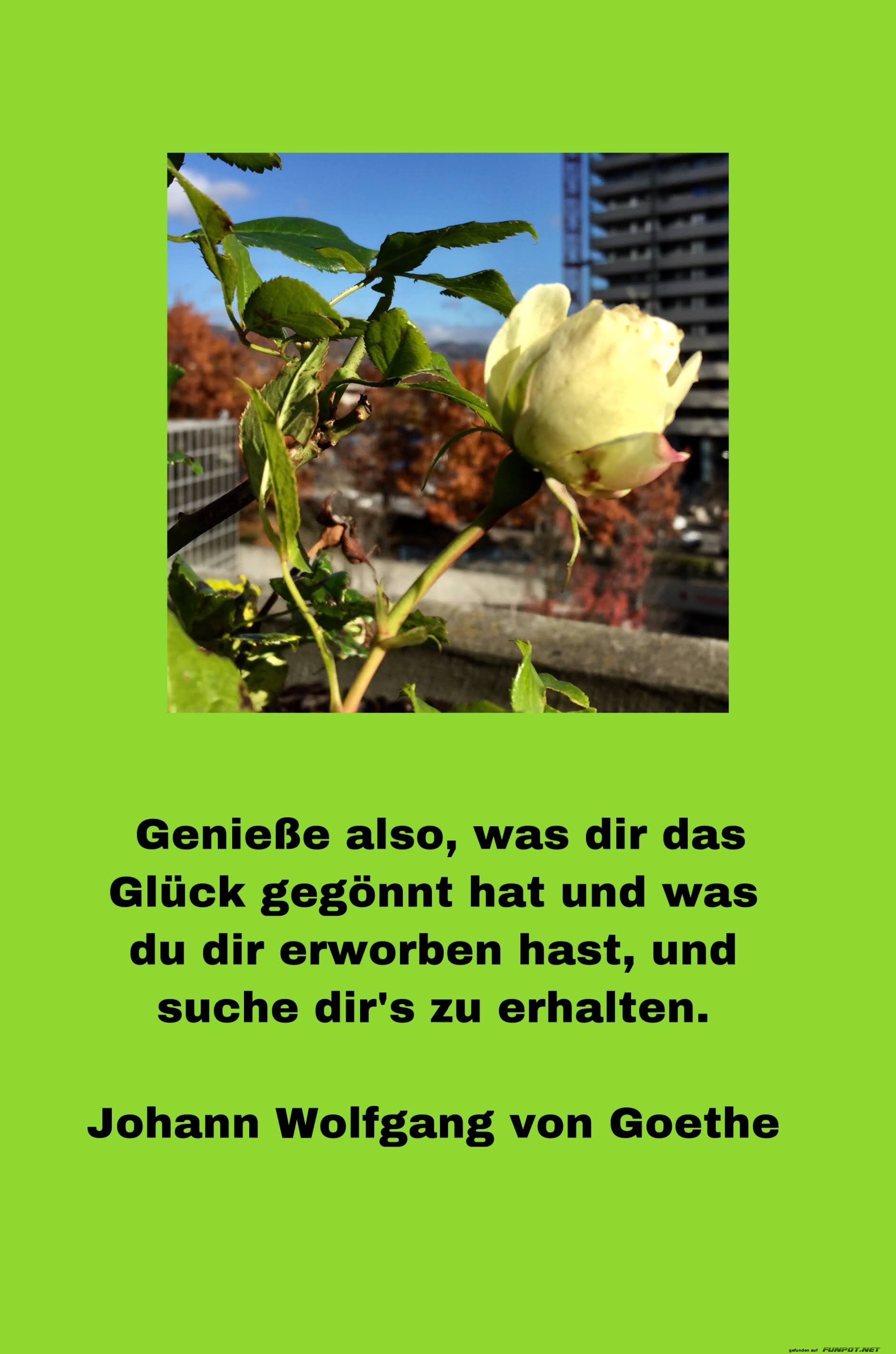 Genieße also Genieße also