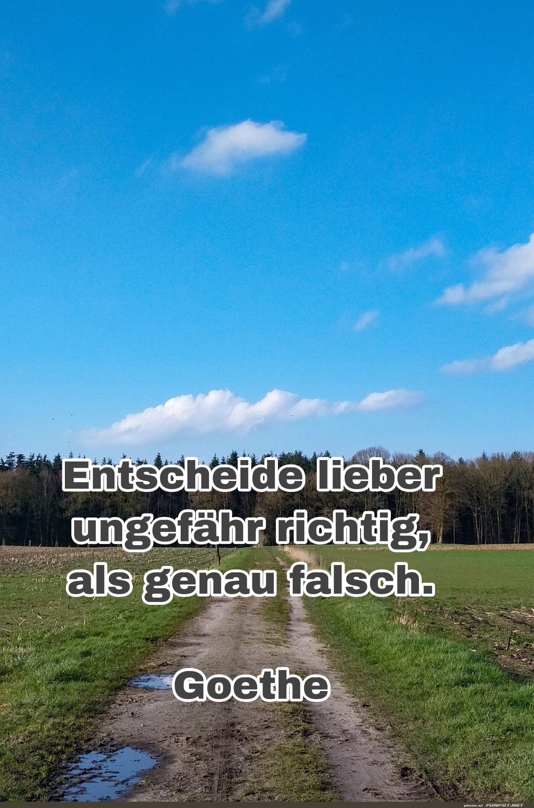 entscheide lieber entscheide lieber