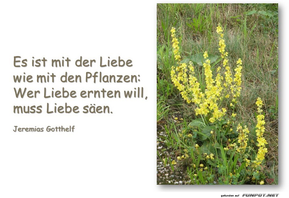 es ist mit der liebe es ist mit der liebe