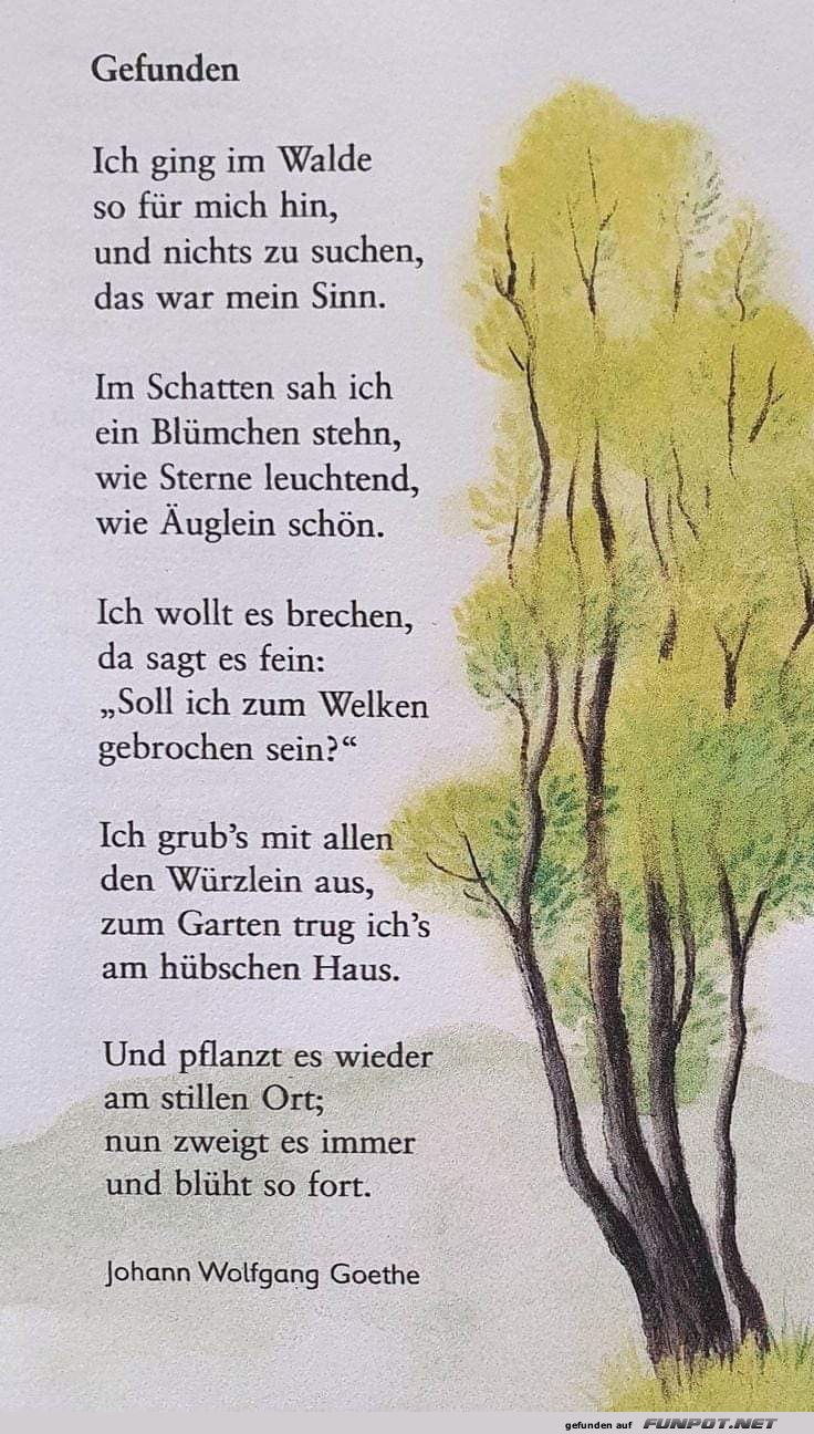 Goethe goes Green: Nature Poetry Adventure