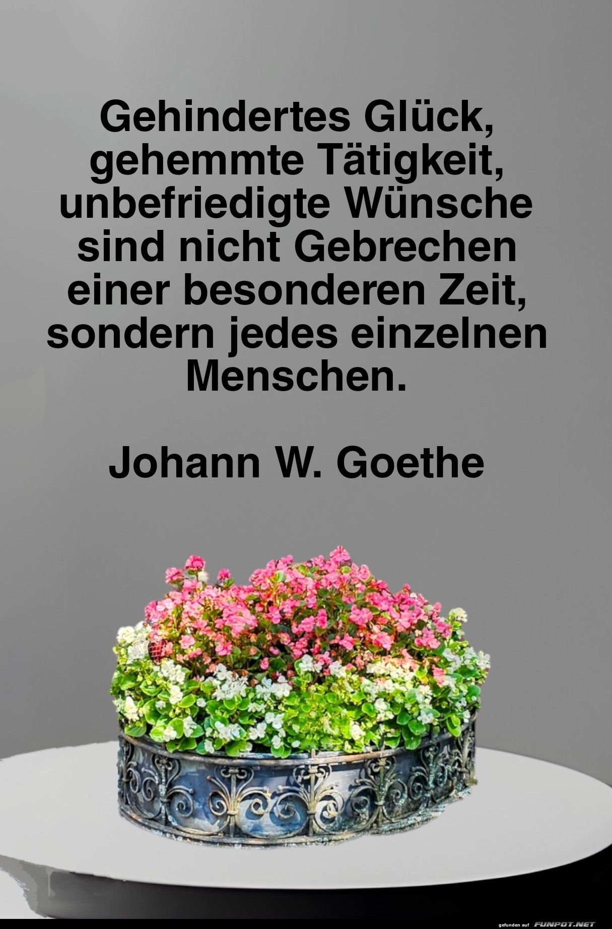 gehindertes glück gehindertes glück