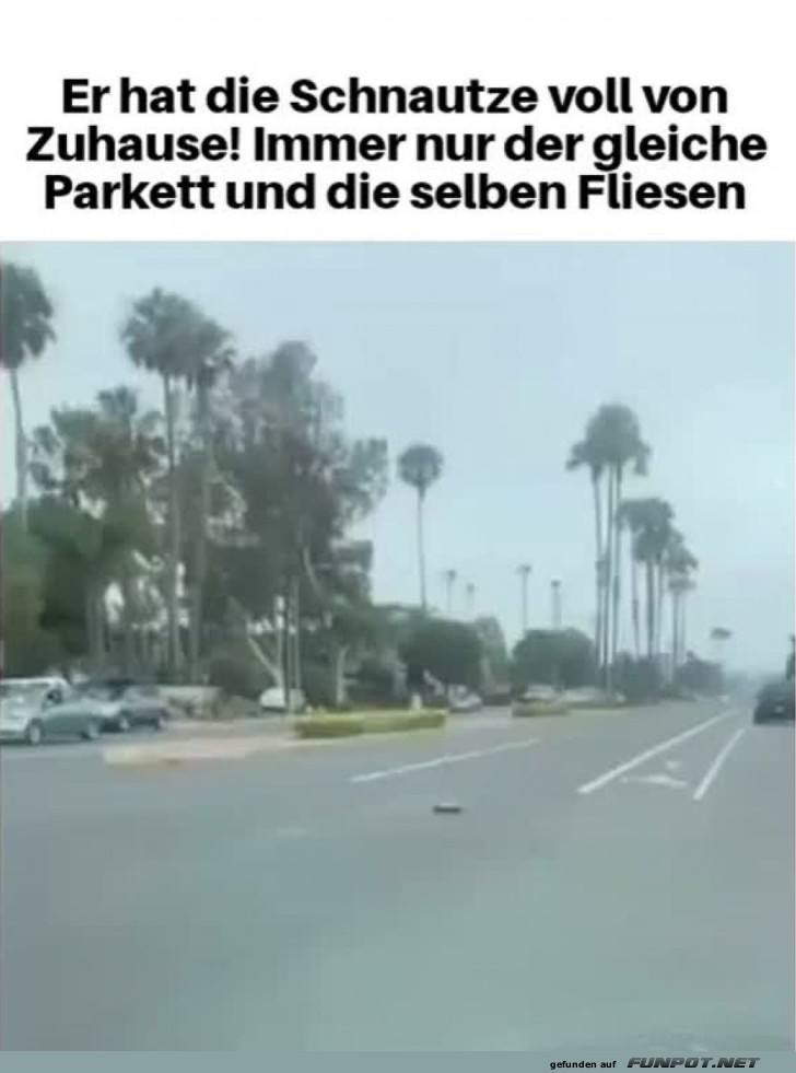 Straßenschild auf tierische Art! Straßenschild auf tierische Art!