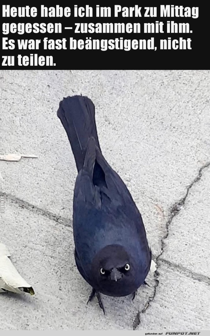 Der furchteinflößende Snackwächter Der furchteinflößende Snackwächter