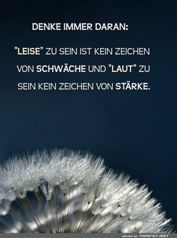 Pusteblumen-Weisheit: Leise, aber stark! Pusteblumen-Weisheit: Leise, aber stark!