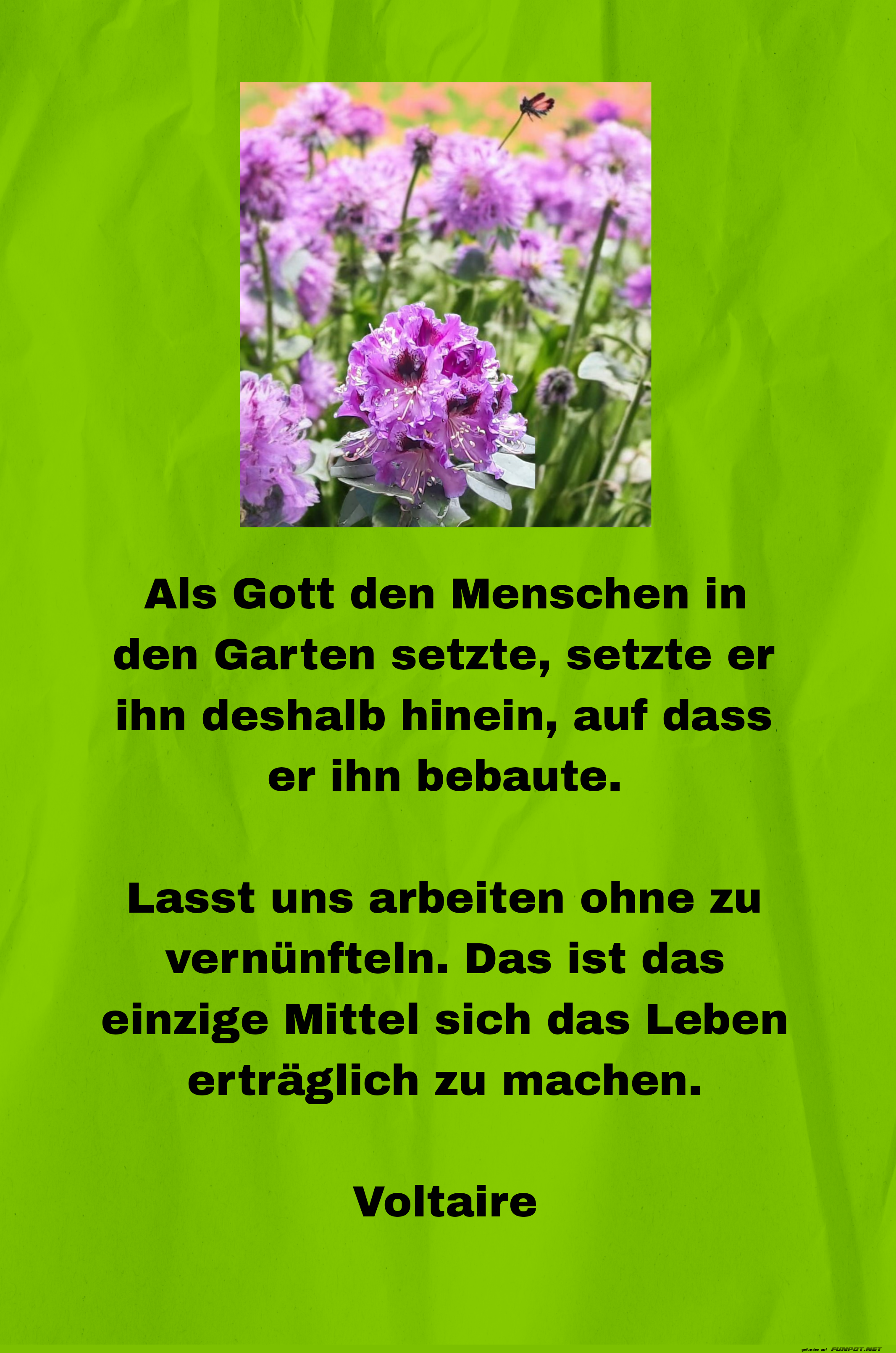 als gott den menschen