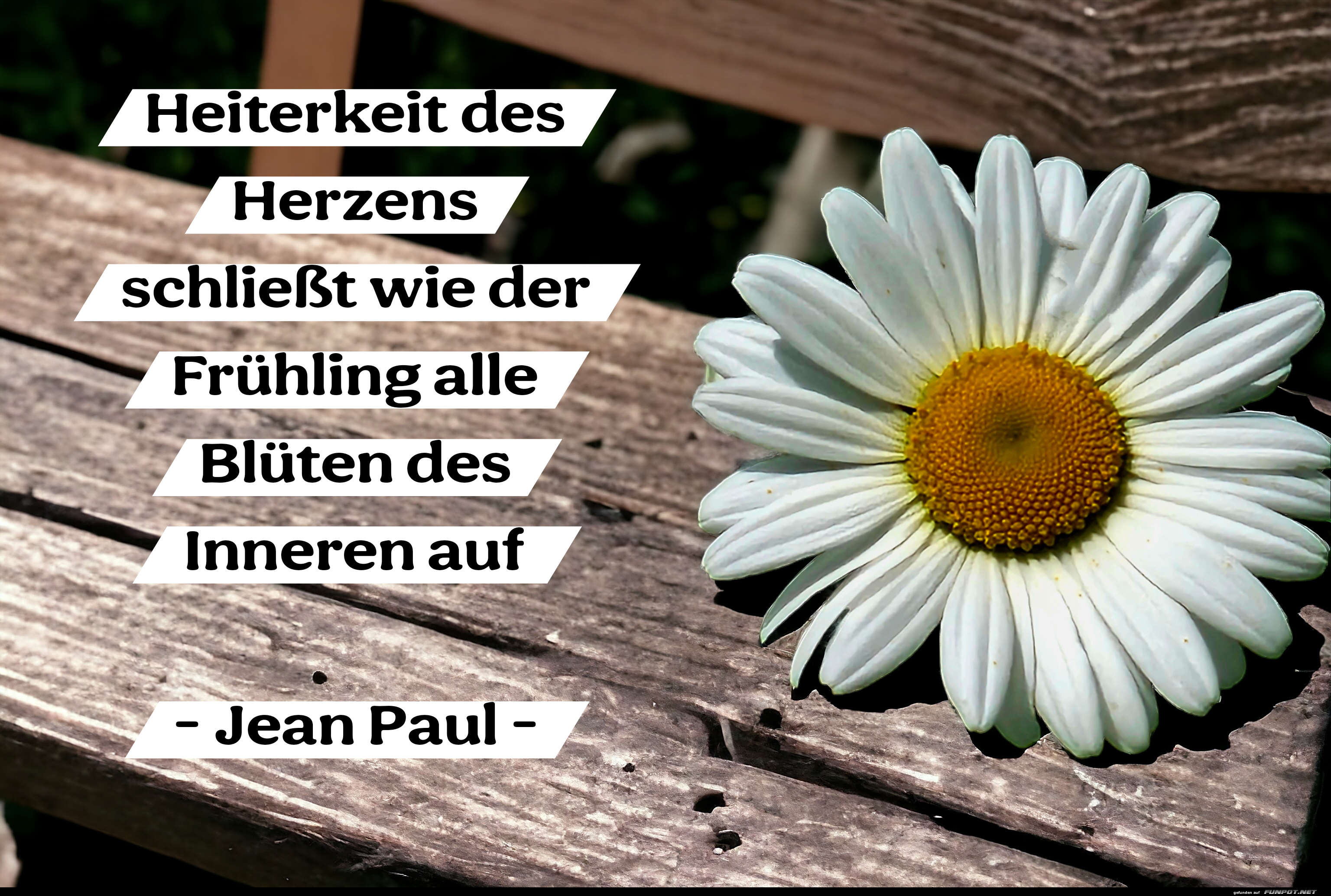 heiterkeit des herzens