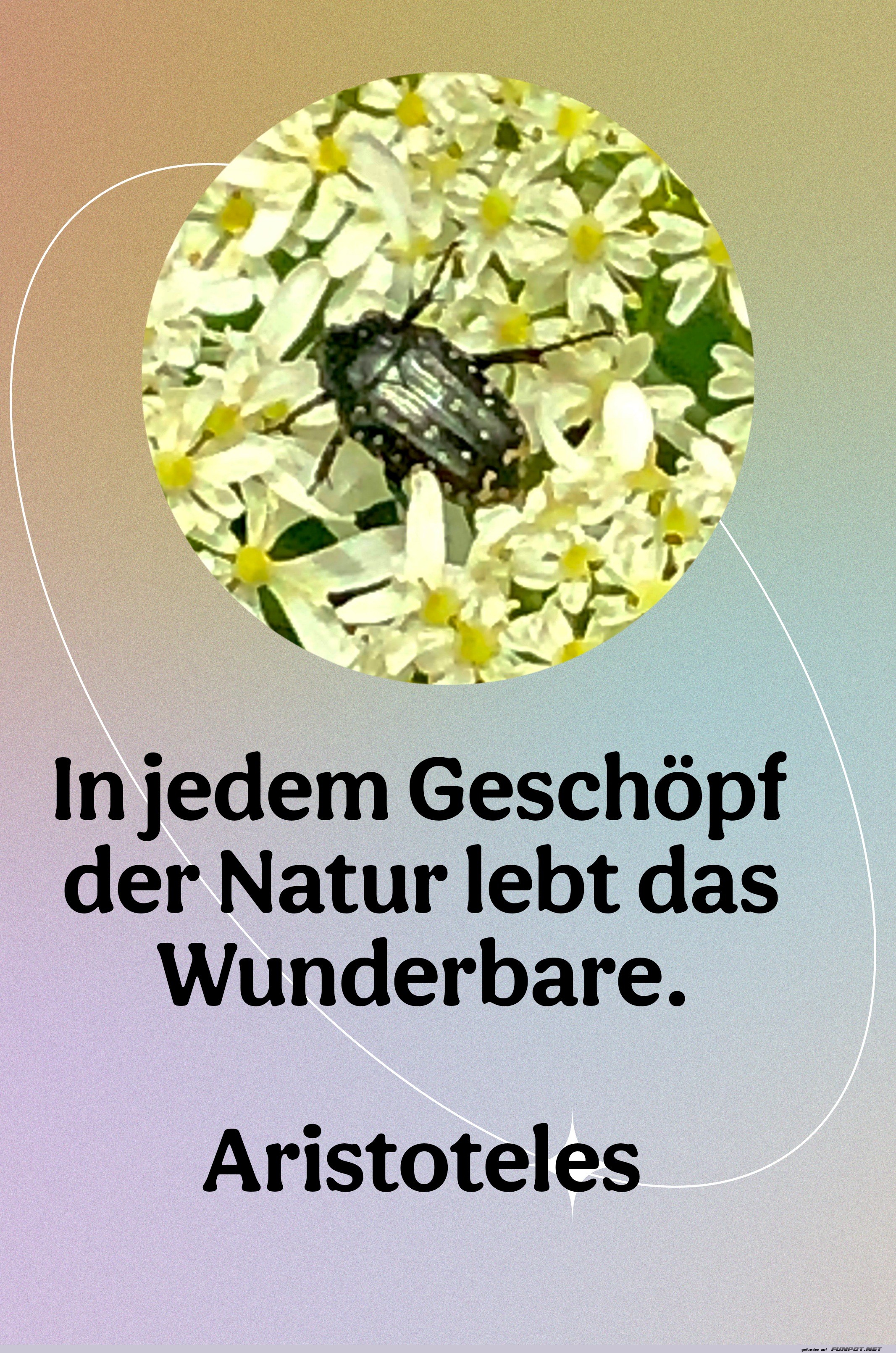 in jedem geschpf