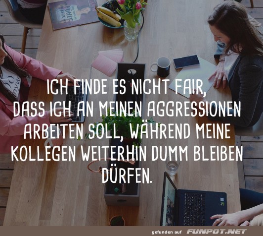 Wutmanagement für Fortgeschrittene Wutmanagement für Fortgeschrittene