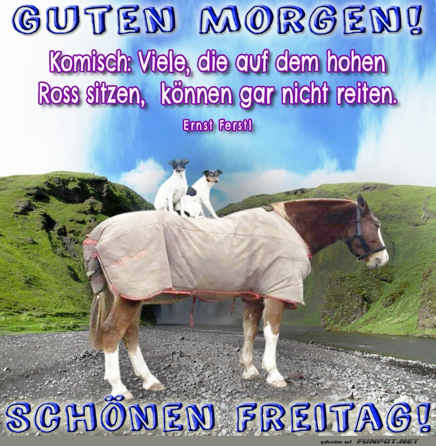 Die Hundehochburg ist eröffnet! Die Hundehochburg ist eröffnet!