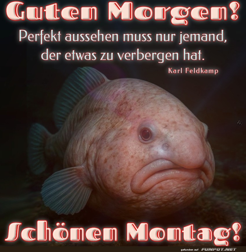 Montagsfisch: Der perfekte Start in die Woche! Montagsfisch: Der perfekte Start in die Woche!