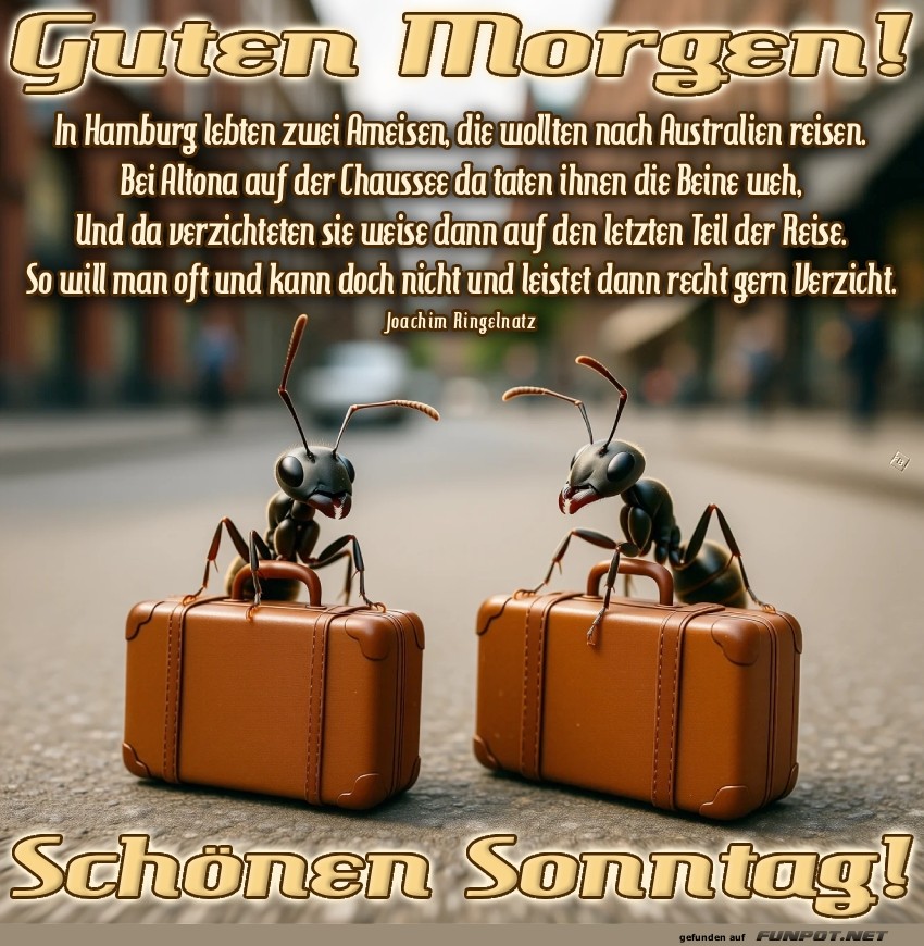 Ameisen auf Weltreise Ameisen auf Weltreise