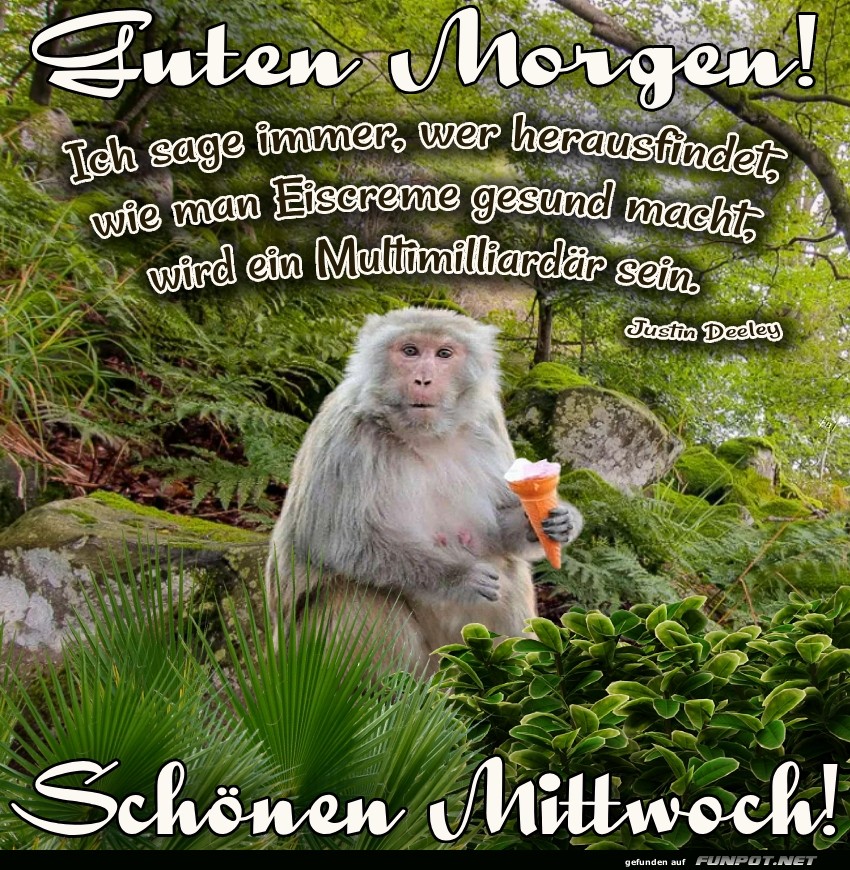 Affe mit Eiscreme: Morgenroutine optimiert!