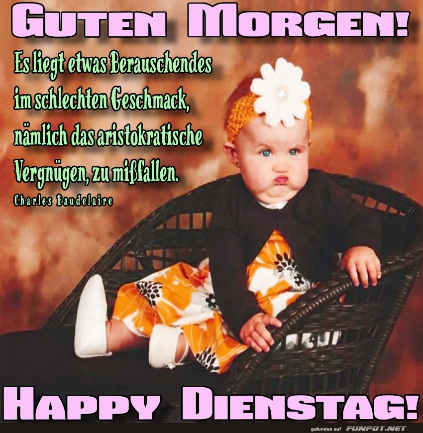 Blumenkind startet in den Dienstag Blumenkind startet in den Dienstag