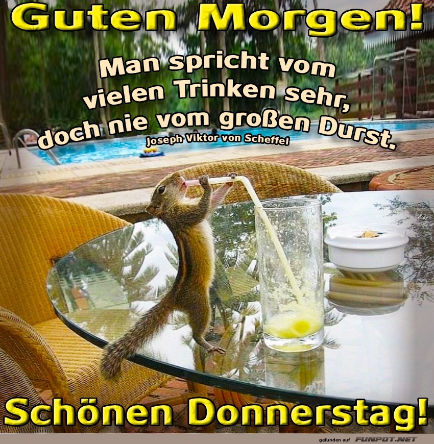 Durstiges Goldkehlchen am Frühstückstisch! Durstiges Goldkehlchen am Frühstückstisch!