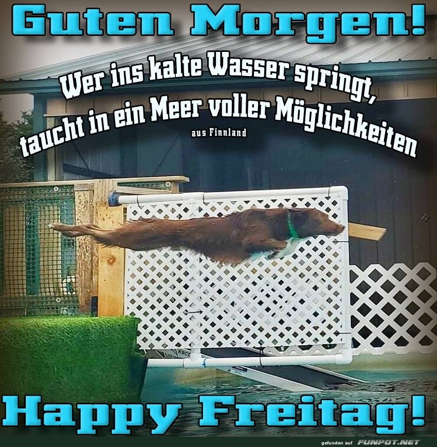 Wasserfrettchen auf Mission Wasserfrettchen auf Mission