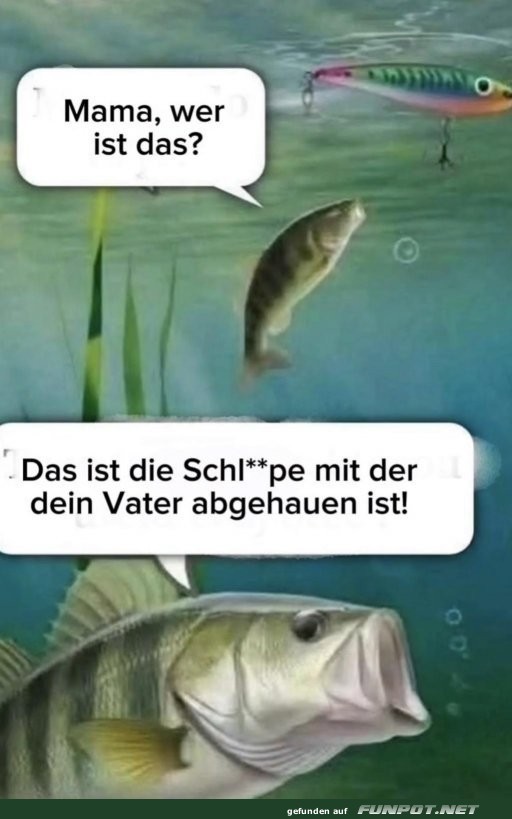 Familiengeheimnisse unter Fischen! Familiengeheimnisse unter Fischen!