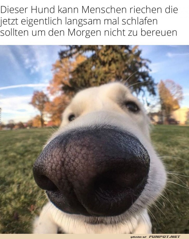 Schnüffel-Detektiv im Einsatz! Schnüffel-Detektiv im Einsatz!