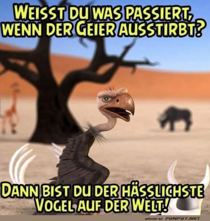 Geheimnis des hässlichsten Vogels gelüftet! Geheimnis des hässlichsten Vogels gelüftet!