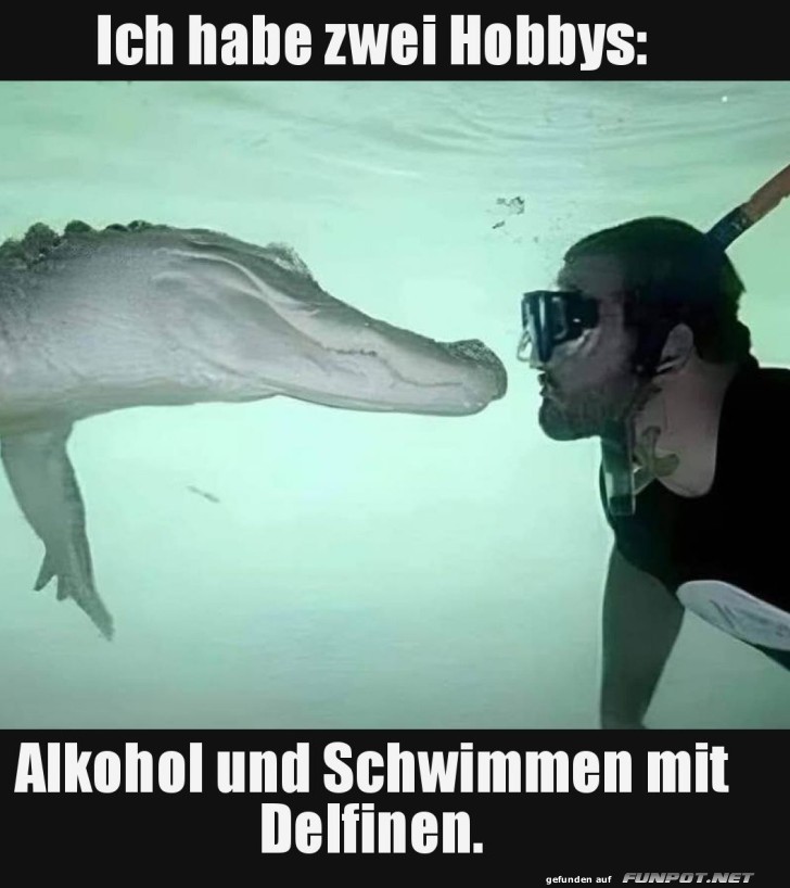 Wenn der 'Delfin' zu viel getrunken hat Wenn der 'Delfin' zu viel getrunken hat