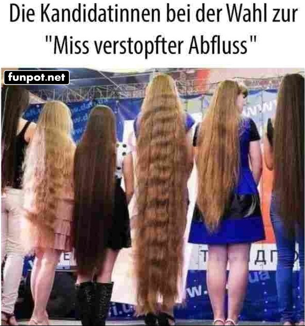Wer wird die nächste 'Miss Haarpracht'? Wer wird die nächste 'Miss Haarpracht'?